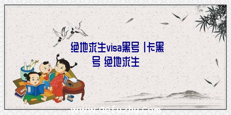 「绝地求生visa黑号」|卡黑号